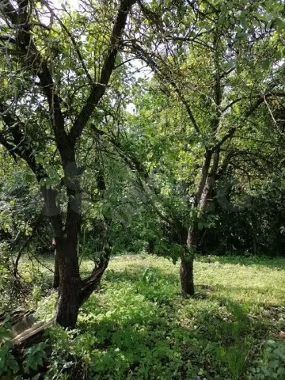 Дом 46,9 м² на участке 17,2 сот.