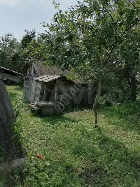 Дом 46,9 м² на участке 17,2 сот.